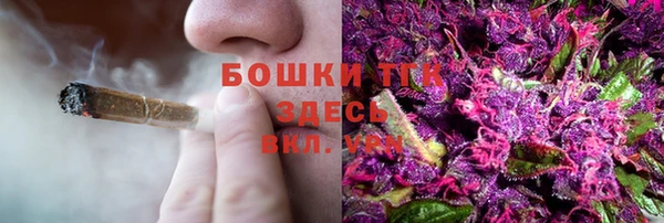 PSILOCYBIN Бугульма