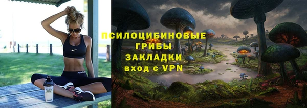 PSILOCYBIN Бугульма